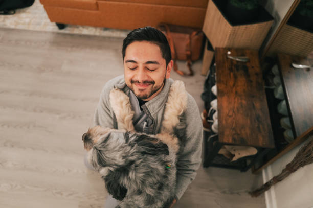 istock Male Doctor Returning from Work - Greeted By Dogs - Close Up - High Angle - Australian Shepherd 2190766719