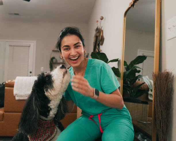 istock Female Doctor Returning from Work - Greeted By Dogs - Excited - Looking at Camera - Bernedoodle 2190766752