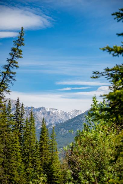 istock Scenic view of mountains and trees 2190772953