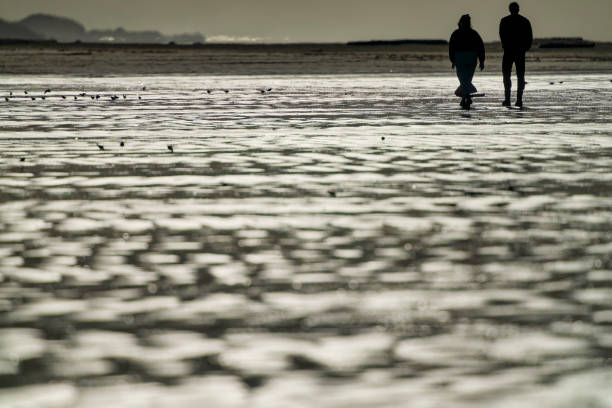 The Pacific Rim National Park in British Columbia on April 26, 2024: Couple walking along the shoreline of Pacific Rim National Park on Vancouver Island, British Columbia