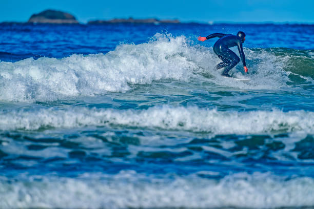 The Pacific Rim National Park in British Columbia on April 29, 2024: Young male surfer catching a wave at Pacific Rim National Park on Vancouver Island, British Columbia