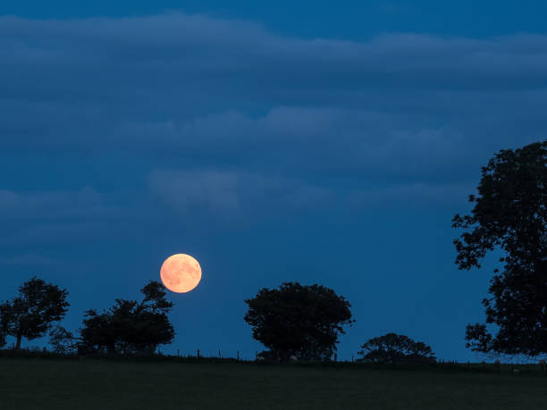 istock Low moonrise over tree landscape at twilight, Northumberland, England, Britain 2190774893