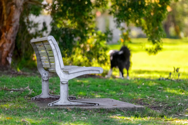 Old metal aluminum bench on concrete slab in dog park