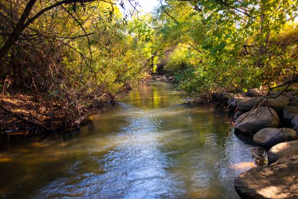 istock Hermon River Flowing Through Northern Israel 2190776855