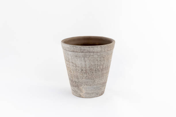 Beautiful decorative clay flowerpot on white background