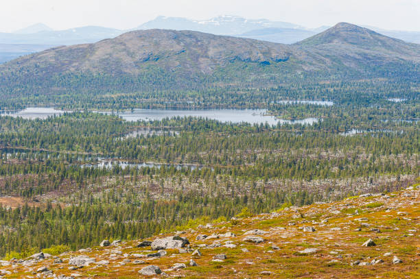istock A panoramic view from a rocky mountaintop overlooking the forested Rogen Nature Reserve in Sweden 2190782462