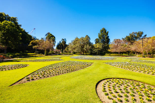istock City Botanic Gardens in Brisbane Australia 2190783084