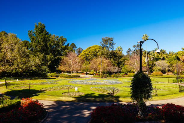 istock City Botanic Gardens in Brisbane Australia 2190783091