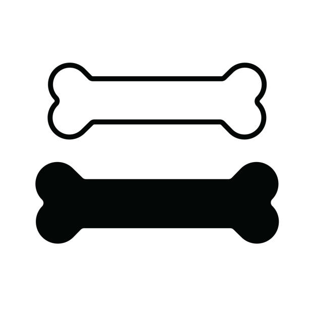 Dog Bone icon set.Vector illustrations. stock illustration Dog Bone icon set.Vector illustrations. stock illustration bone stock illustrations