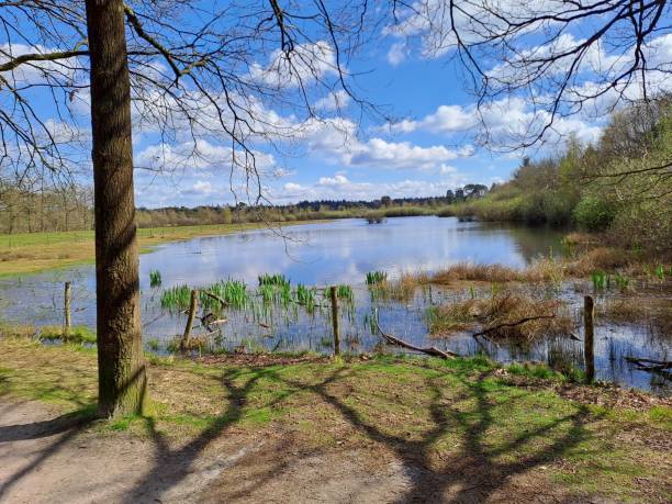 istock Nature in holland 2190787730
