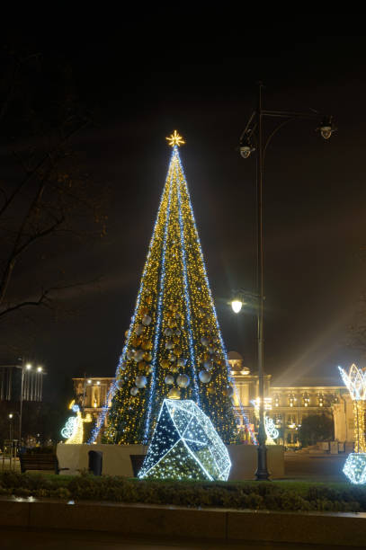 istock Outdoor Christmas Tree on a Square 2190788069