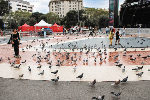 A vibrant city plaza bustling with activity, featuring a large gathering of pigeons scattered across the square. People interact with the birds, adding life and motion to the scene.