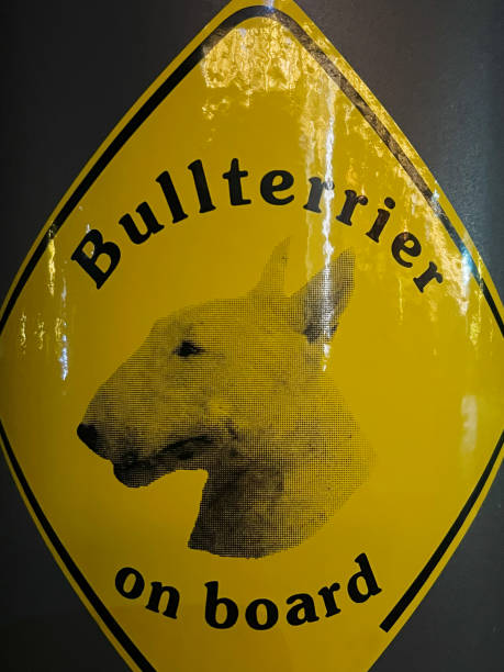 istock Yellow caution sign featuring a bull terrier silhouette and humorous caption 2190794869