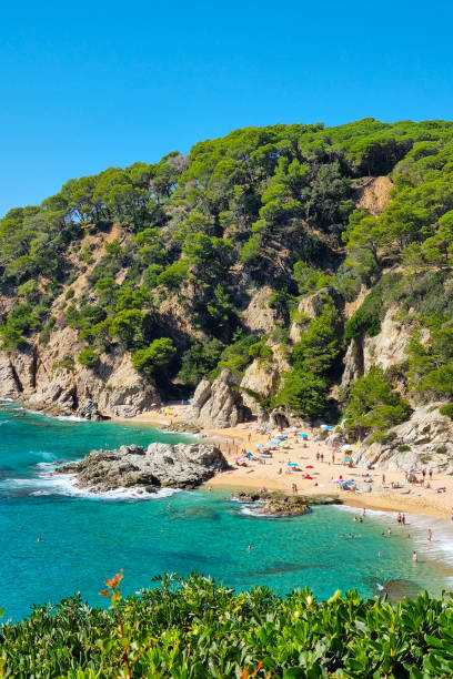 istock Scenic Coastal Beach with Lush Greenery and Turquoise Waters 2190795219