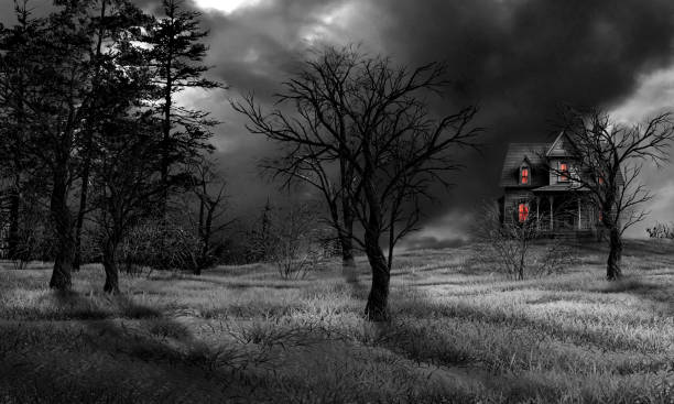 istock Winter night in a creepy forest 2190796830