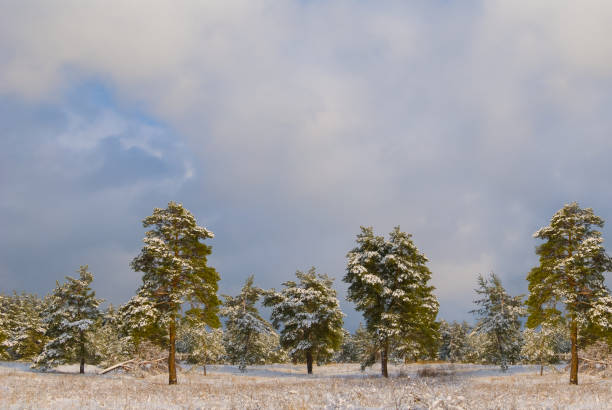 Winter experiences on the Rennsteig in the Thuringian Forest