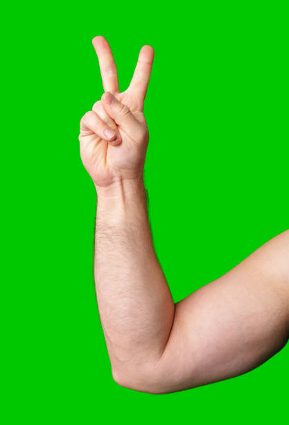 istock A hand holding up a peace sign against a bright green background 2190801172