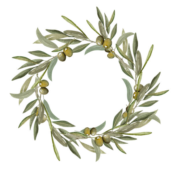 istock Olive branch with green and black olive berries watercolor illustration.Watercolor round frame of olive branches. Hand drawn botanical illustration for design 2190801431
