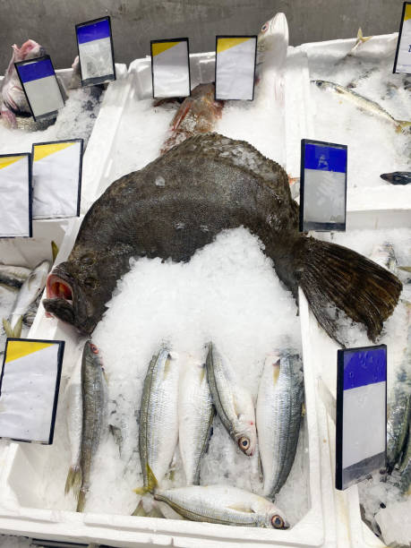 istock Turbot fish waiting on a counter filled with ice. 2190801469