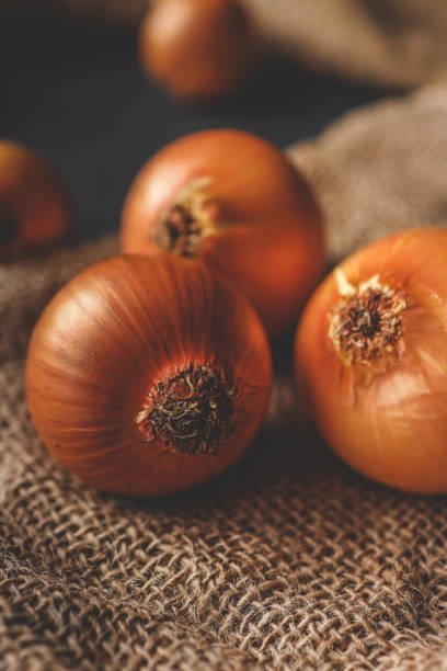 Fresh yellow onions placed on a rustic burlap fabric, showcasing their natural texture. Ideal for culinary themes, organic food concepts, or traditional kitchen settings