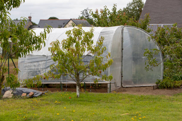istock Garden greenhouse with plastic. 2190801857