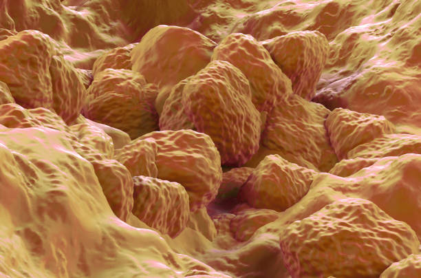 Biopolymers are natural polymers produced by the cells of living organisms. Like other polymers, biopolymers consist of monomeric units that are covalently bonded in chains to form larger molecules.
