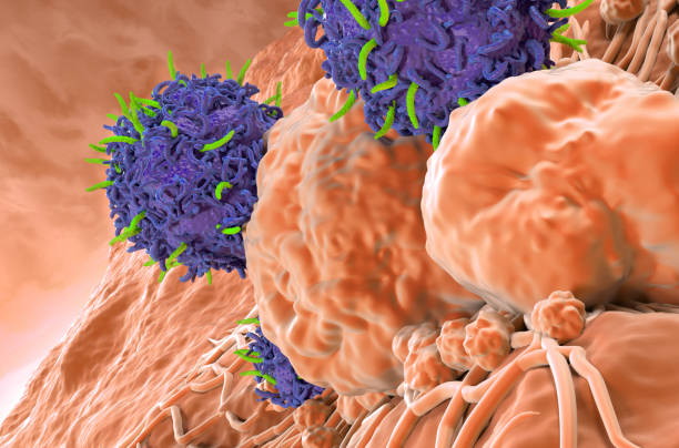 istock CAR T cell therapy in Thyroid cancer - closeup view 3d illustration 2190808229