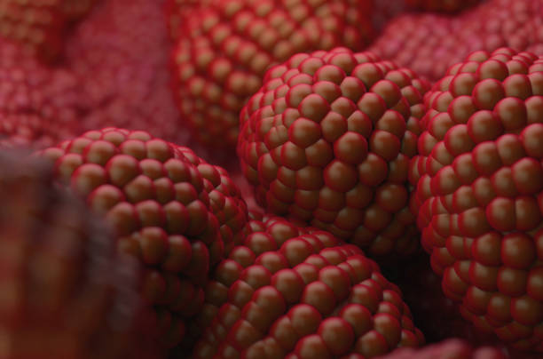 Prostate cancer is the uncontrolled growth of cells in the prostate, a gland in the male reproductive system below the bladder. Abnormal growth of prostate tissue is usually detected through screening tests, typically blood tests that check for prostate-specific antigen (PSA) levels. Those with high levels of PSA in their blood are at increased risk for developing prostate cancer.