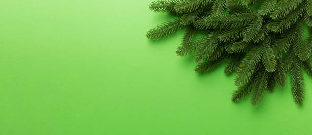 istock Christmas holiday background with copy space for advertising text. Fir branches on color background . Flat lay, top view 2190808355