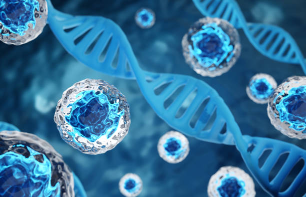 istock Research of stem cells. Stem cells under a microscope. Cellular Therapy 2190808580