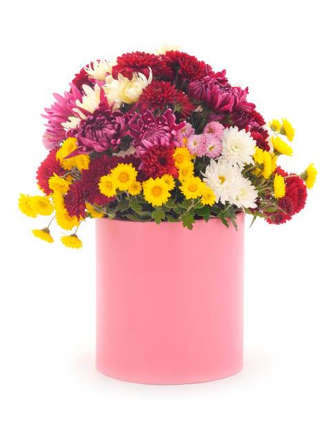istock Flowers of chrysanthemum in the basket. 2190809849