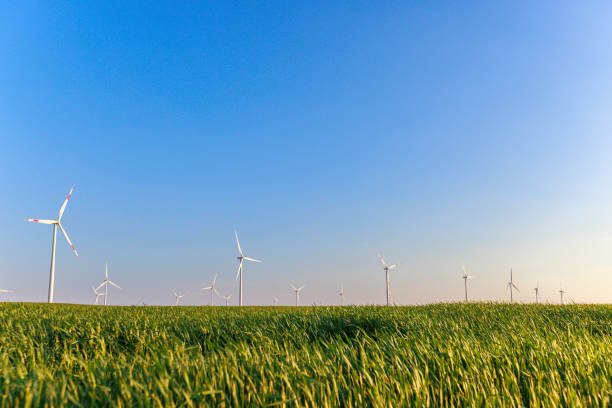 Horizontal axis wind turbines in the agricultural field on a clear day, electrical power green production