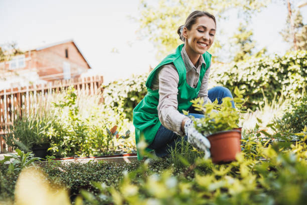 istock Greenhouse Worker With Potted Plants 2190821282