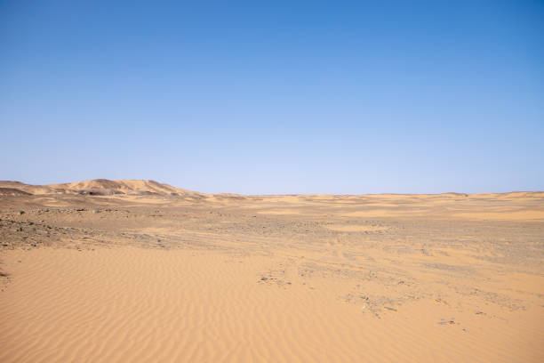 Timimoun in the south of Algeria, city in the big Algerian desert with palms groves and old kssour , famous Algerian desert with gold sand