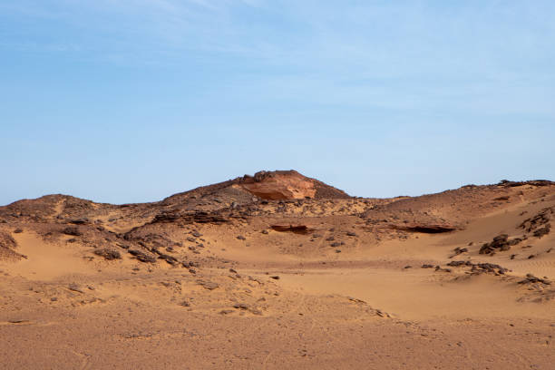 istock timimoun palm grove and desert 2190824425
