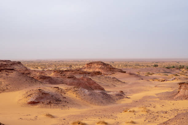 istock timimoun palm grove and desert 2190824737