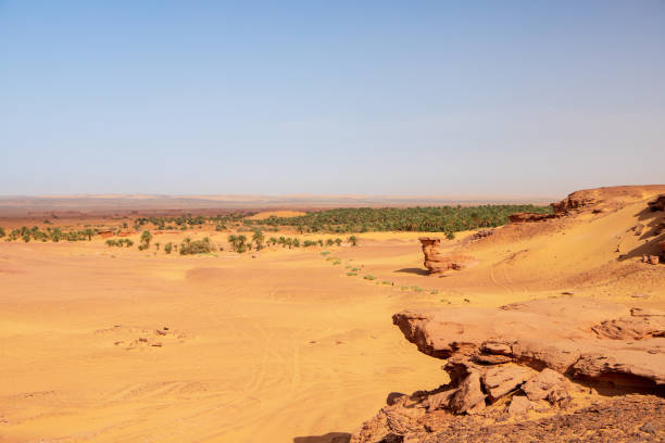 istock timimoun palm grove and desert 2190824878