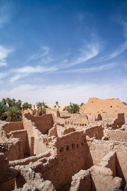 istock timimoun palm grove and desert 2190825707