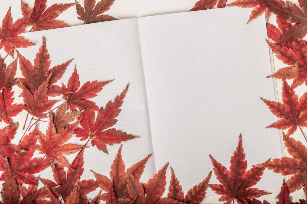 istock Frame of red maple leaves and an open notebook. 2190826428
