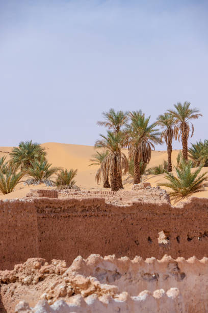istock timimoun palm grove and desert 2190826733