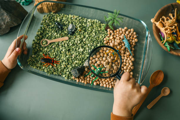 istock Educational sensory play setup for kids featuring plastic insects, rocks, a magnifying glass, and dry green peas and chickpeas in a glass container. Creative nature-inspired exploration activity 2190827976