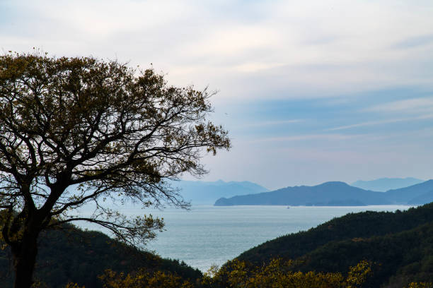 tranquil seascape in the late afternoon