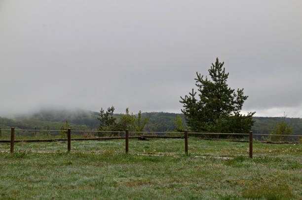 istock Scene with misty spring meadows, forest and singly trees in Plana mountain 2190833330