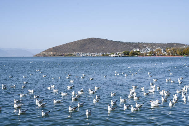 istock Islands and distant mountains on the lake 2190834076
