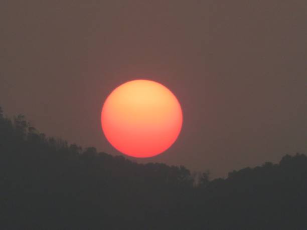 Sunset over lush forest with orange and pink hues