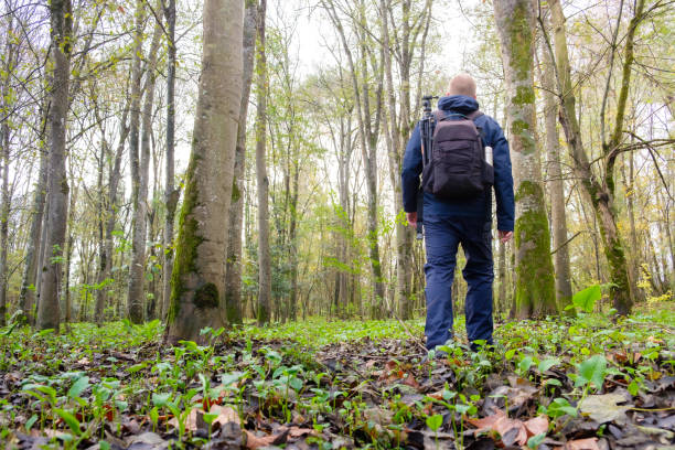 istock Photographer enjoying nature in the woods 2190838000