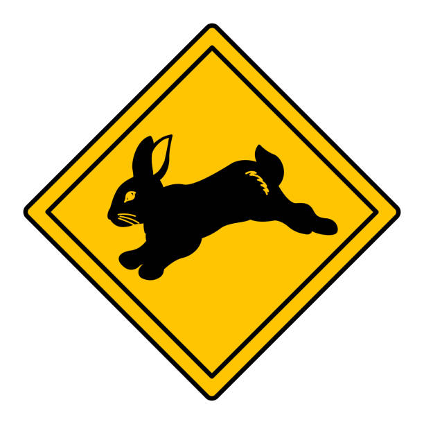 istock Yellow Road Sign Rabbit. Vector Icon. Hare. Road Sign Warning about Crossing the Road by Animals. Sticker for Zoo 2190844024