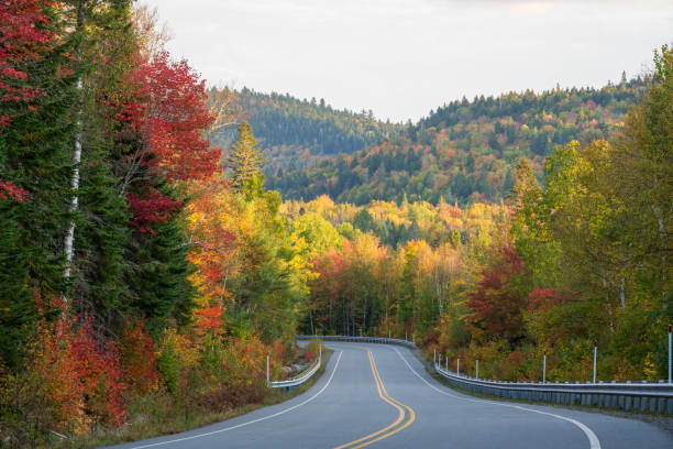 istock Fall colors in La Mauricie National Park 2190844692