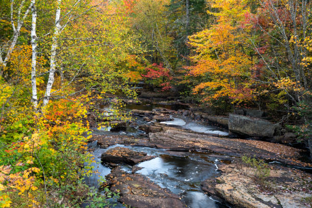 Creek in Autumn, La Mauricie National Park, Quebec, Canada