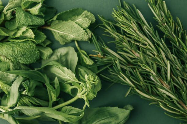 istock Flat lay of fresh herbs including mint, basil, and rosemary arranged on a green textured background. A natural and vibrant display for culinary and herbal purposes 2190851548